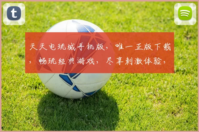天天电玩城手机版，唯一正版下载，畅玩经典游戏，尽享刺激体验，快来下载吧，