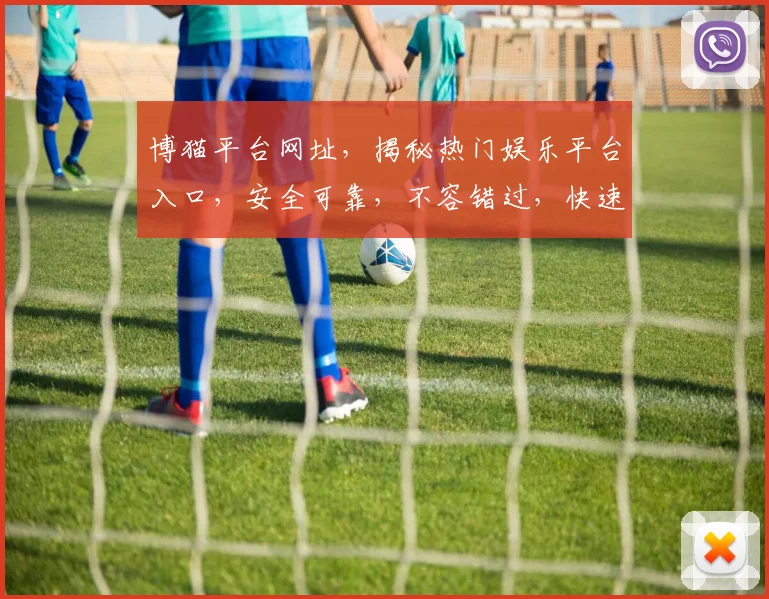 博猫平台网址，揭秘热门娱乐平台入口，安全可靠，不容错过，快速登录体验